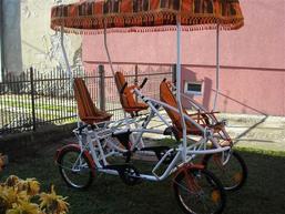 Prodajem turisticka vozila, kvadricikli - Vozila - Crna Gora