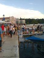 POLUPODMORNICA GLASS DOLPHIN - Vozila - Crna Gora