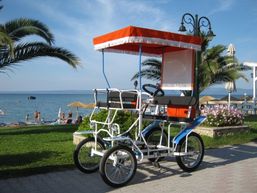 kvadricikli, četvorocikli shollack - Vozila - Crna Gora