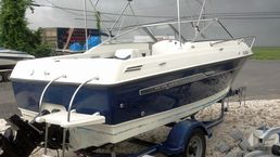 Top ponuda - Gliser 2006 Bayliner 192 - Vozila - Crna Gora